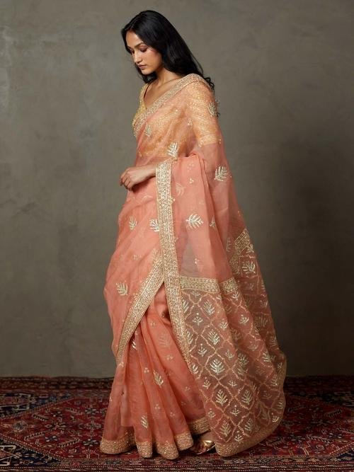 Coral Sterling Saree With Stitched Blouse - View 5